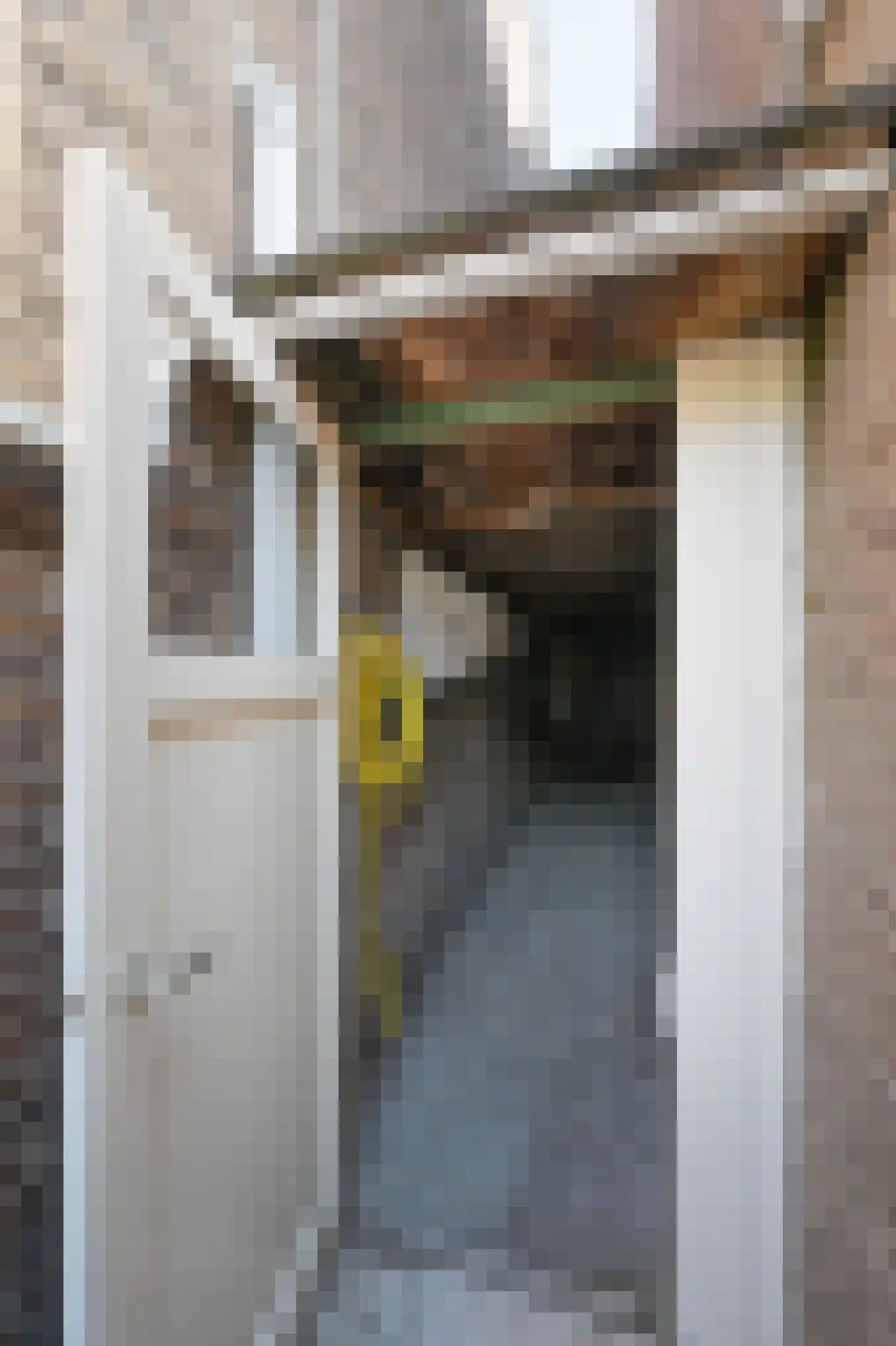Pegasusstraat 17 Haarlem thumbnail 28