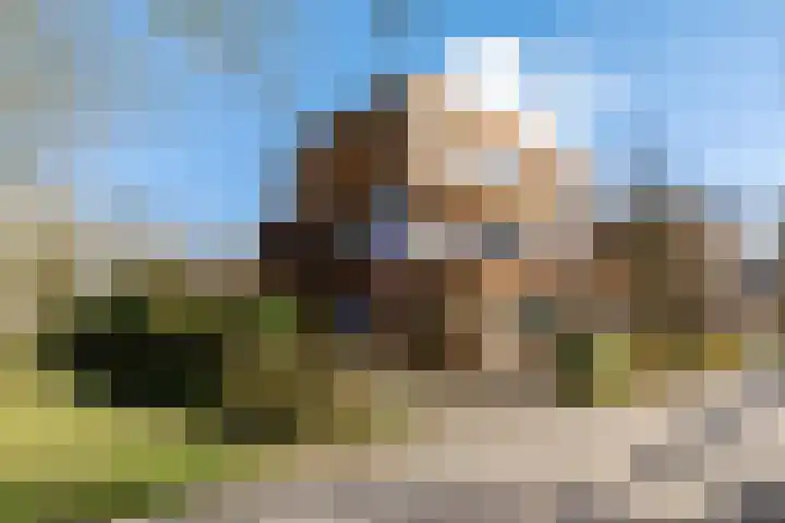 Pegasusstraat 2 Groningen