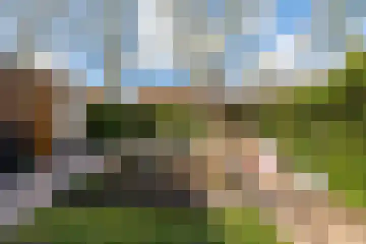 Pegasusstraat 2 Groningen thumbnail 23