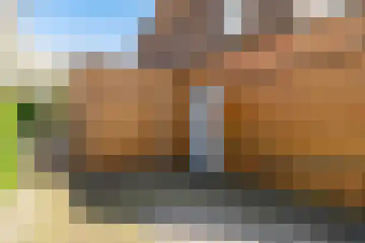 Pegasusstraat 2 Groningen thumbnail 43