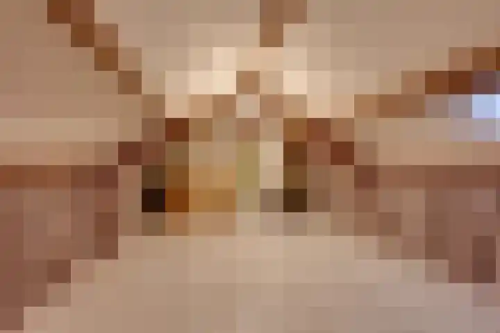 Pegasusstraat 28 Volendam thumbnail 41