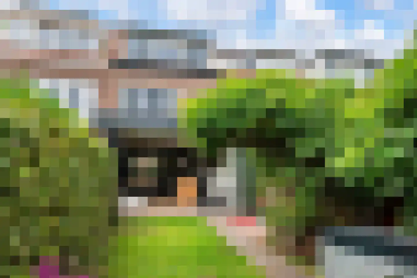 Pegasusstraat 34 Haarlem thumbnail 8