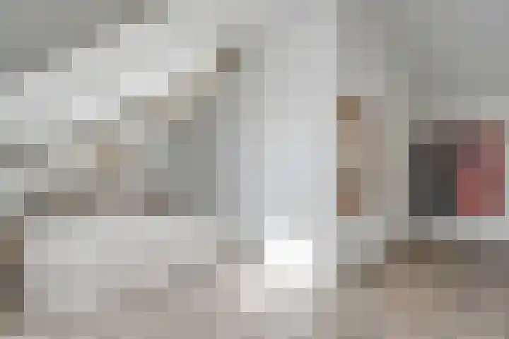 Pegasusstraat 40 Enschede thumbnail 33