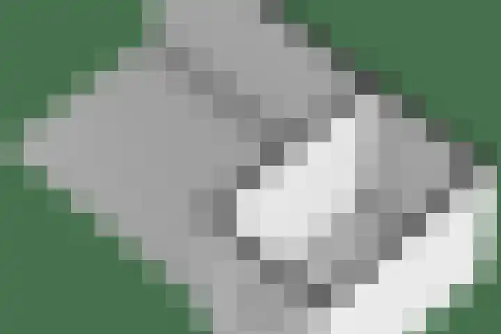 Pegasusstraat 40 Enschede thumbnail 47