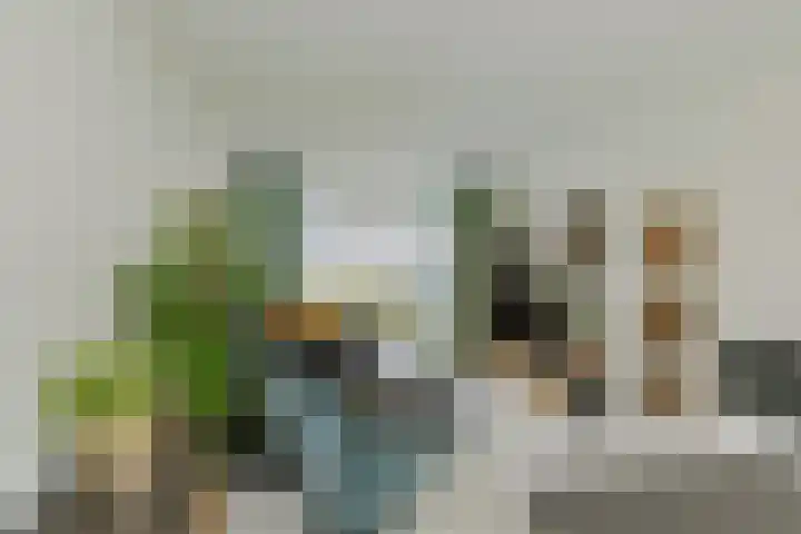 Pegasusstraat 43 IJmuiden thumbnail 7