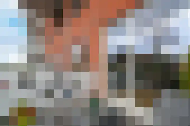 Pegasusstraat 44 Alphen aan den Rijn thumbnail 9