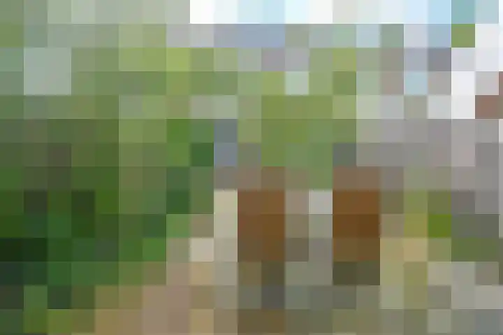 Pegasusstraat 60 Haarlem thumbnail 31