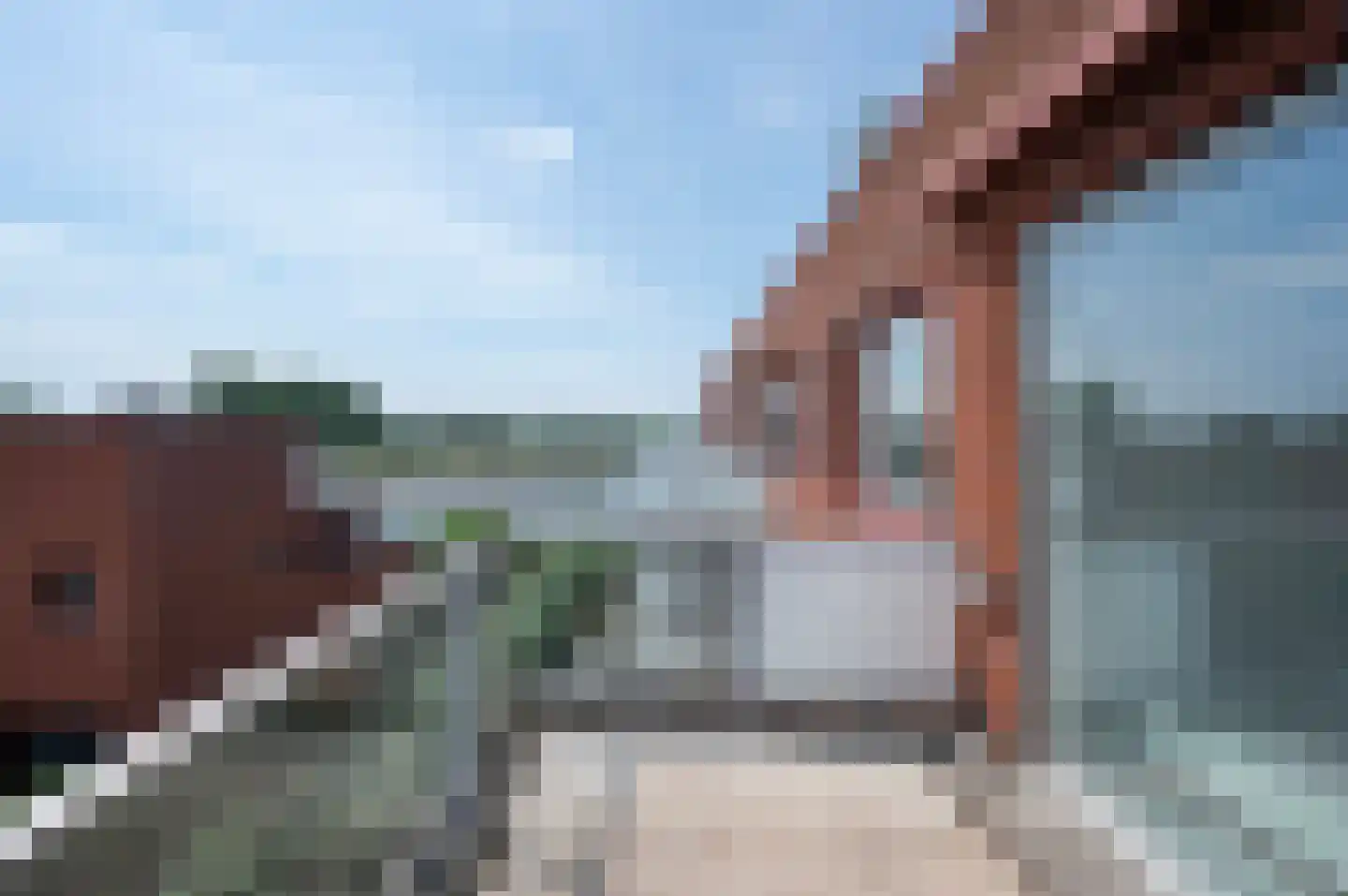 Pegasusstraat 62 Alphen aan den Rijn thumbnail 8