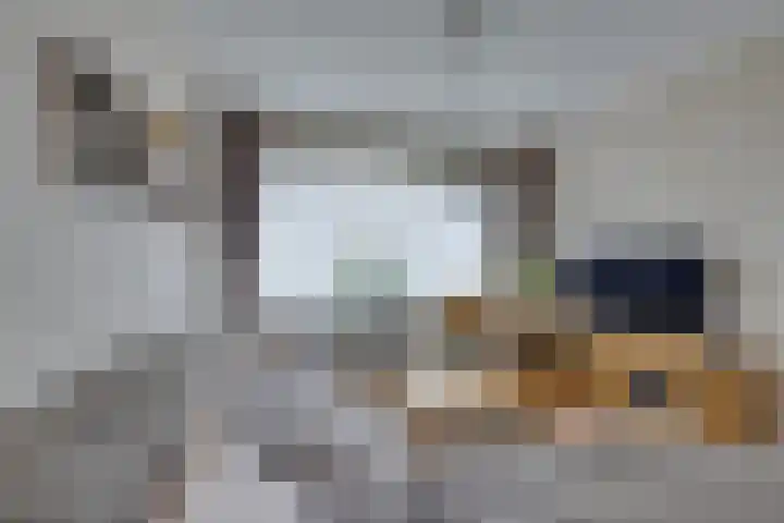 Pegasusstraat 64 Volendam thumbnail 11