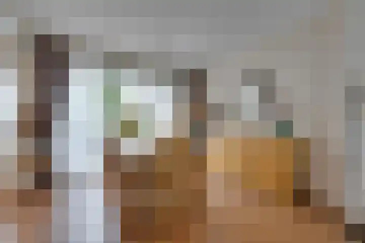Pegasusstraat 64 Volendam thumbnail 15