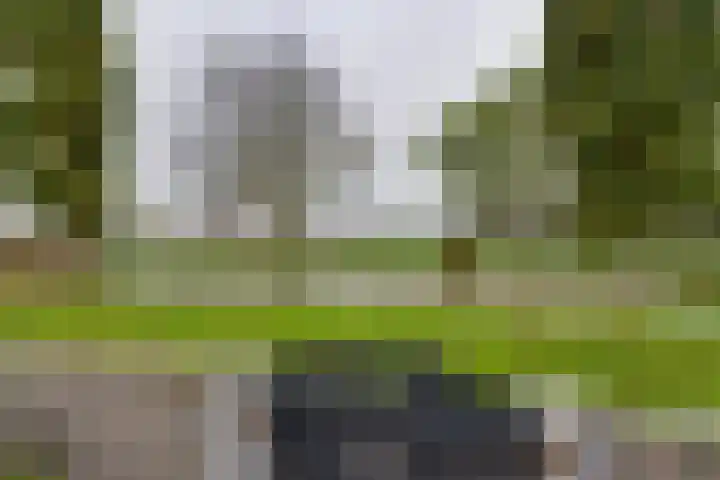 Pegasusstraat 64 Volendam thumbnail 30