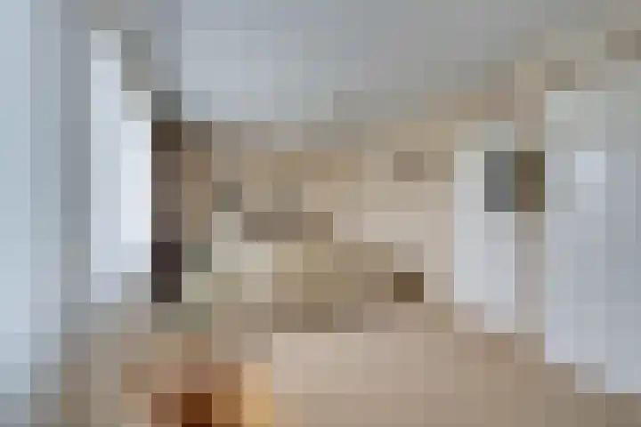 Pegasusstraat 64 Volendam thumbnail 33