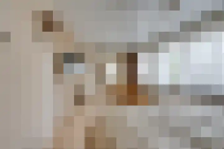 Pegasusstraat 64 Volendam thumbnail 34