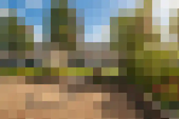 Pegasusstraat 64 Volendam thumbnail 4