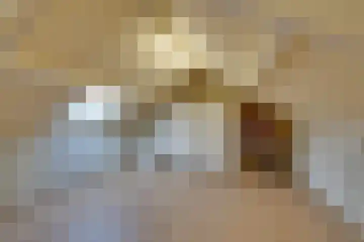 Pegasusstraat 64 Volendam thumbnail 46