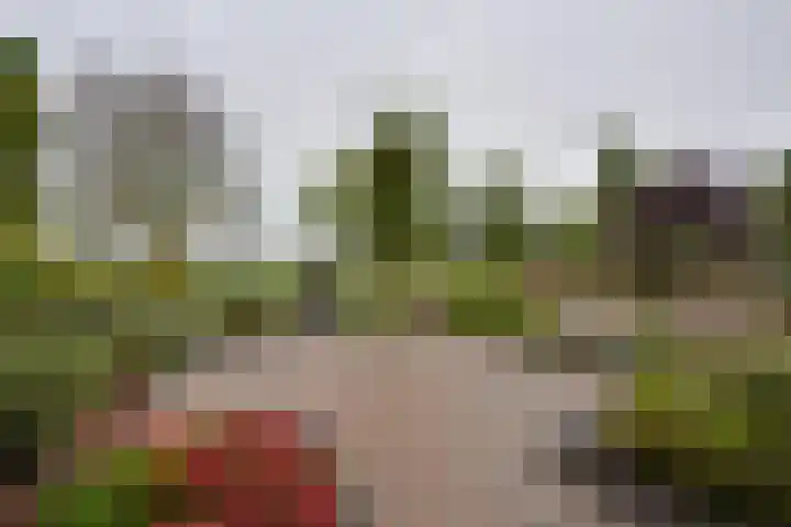 Pegasusstraat 64 Volendam thumbnail 5