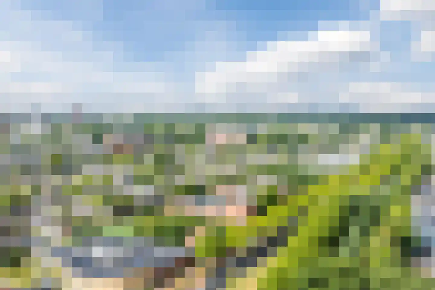 Pegasusweg 116 B Rotterdam thumbnail 38