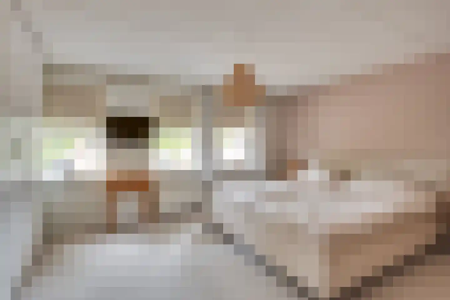 Pegbroekenlaan 18 Veldhoven thumbnail 21