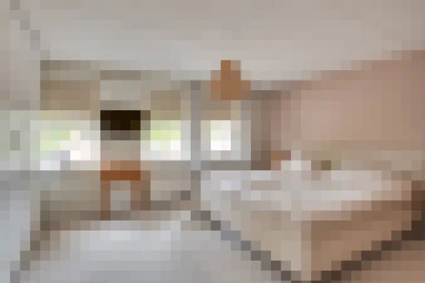 Pegbroekenlaan 18 Veldhoven thumbnail 25