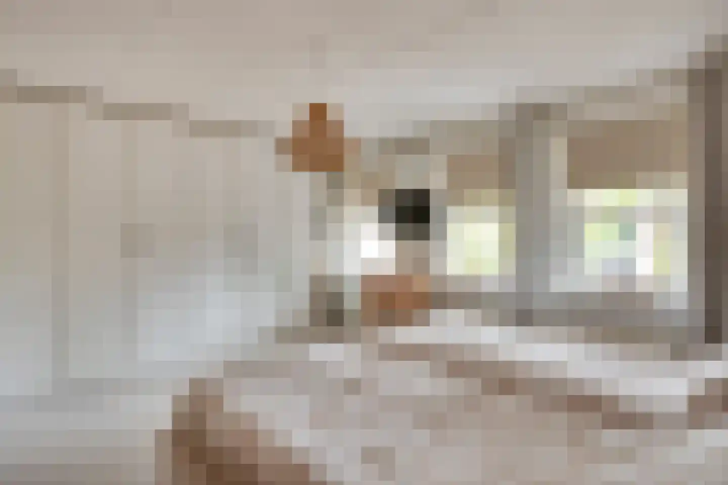 Pegbroekenlaan 18 Veldhoven thumbnail 27