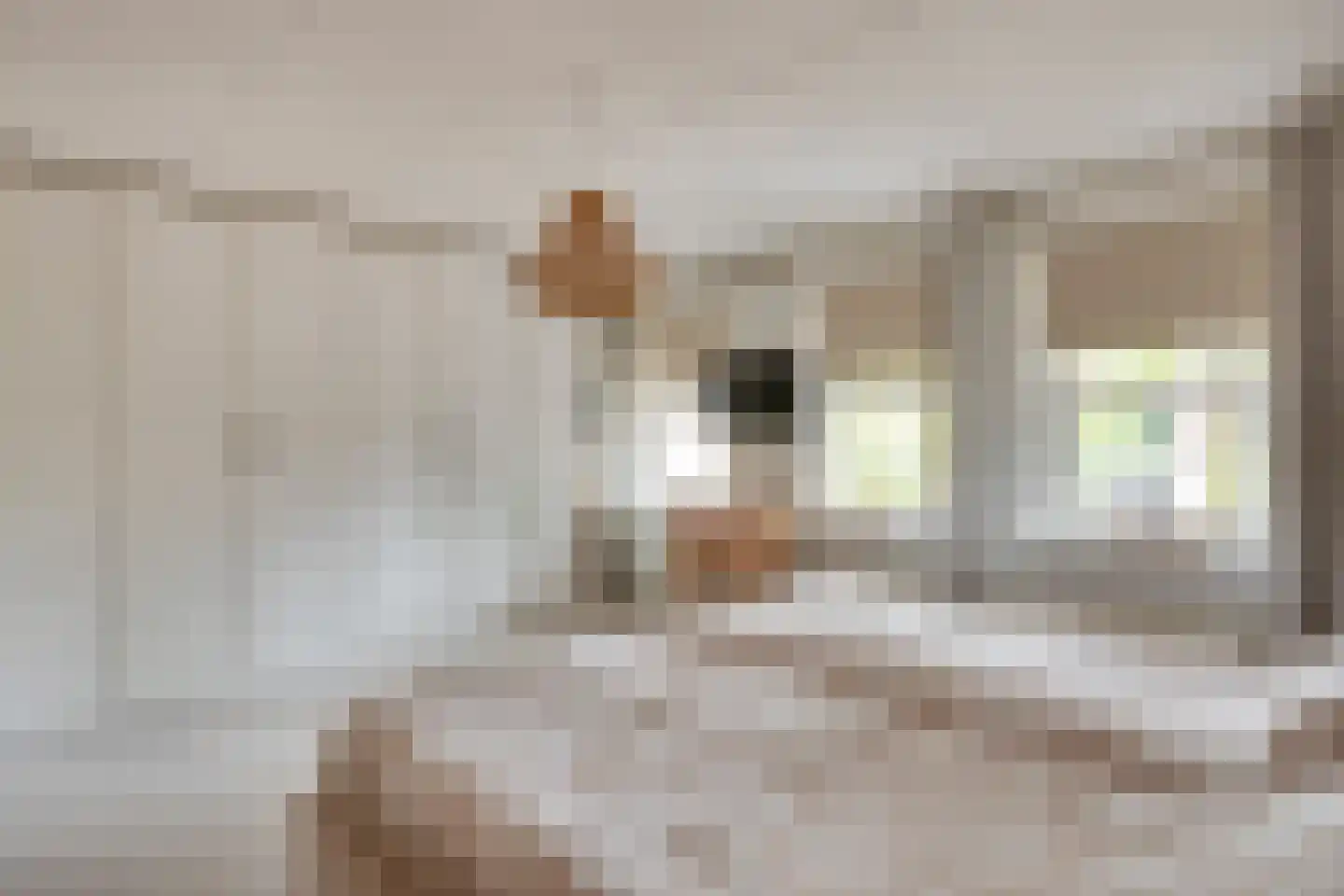 Pegbroekenlaan 18 Veldhoven thumbnail 27