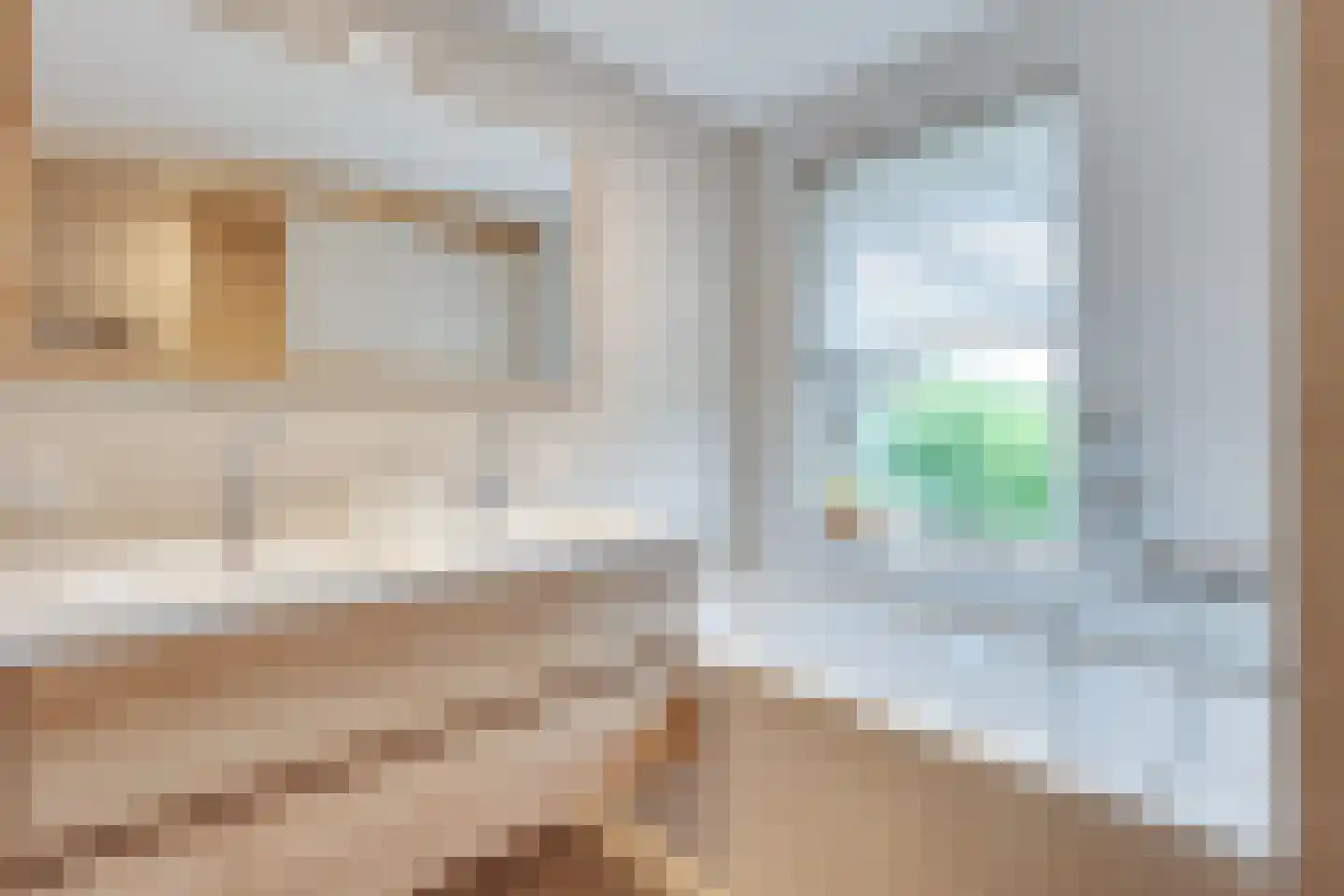 Pegbroekenlaan 18 Veldhoven thumbnail 30