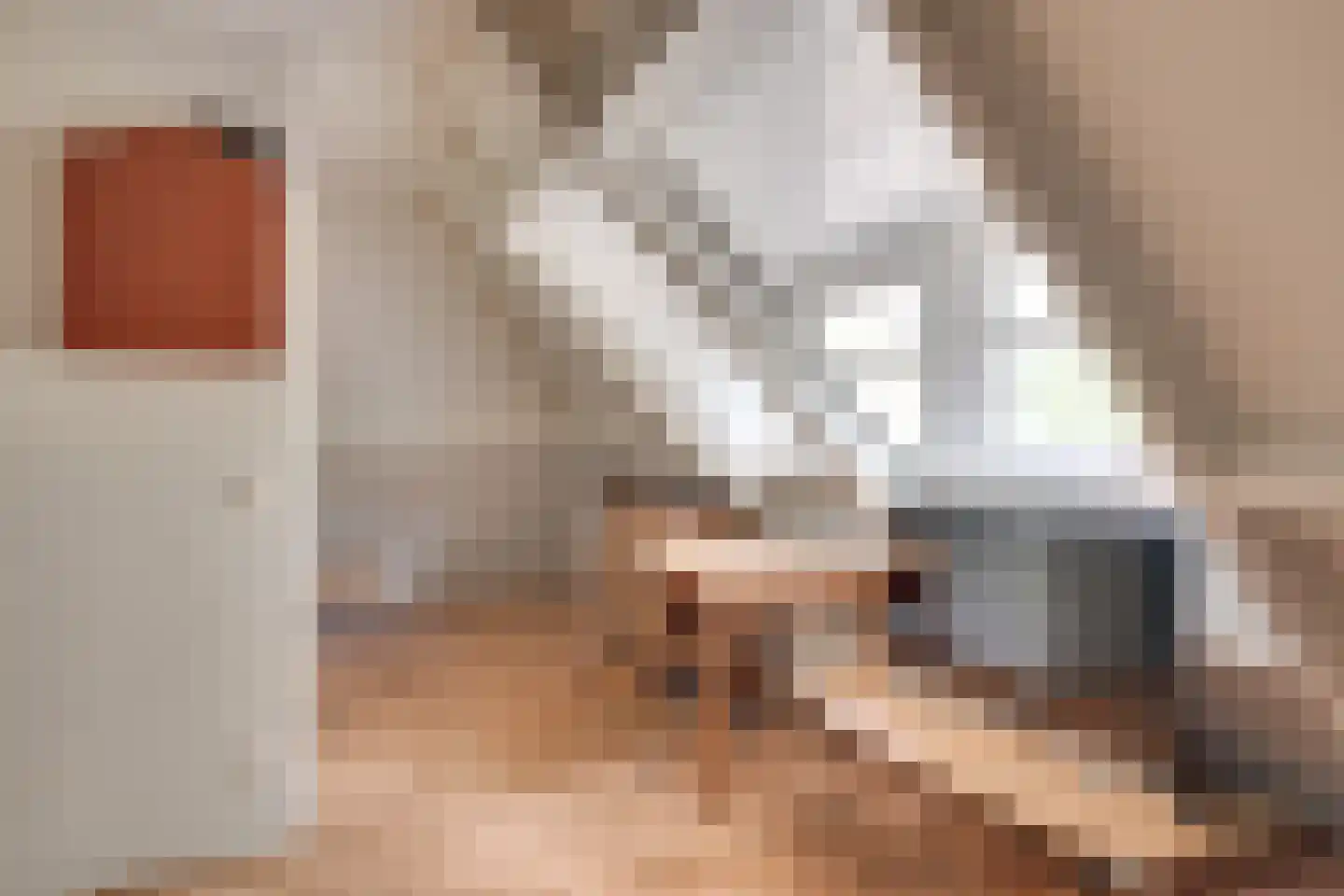 Pegbroekenlaan 18 Veldhoven thumbnail 39