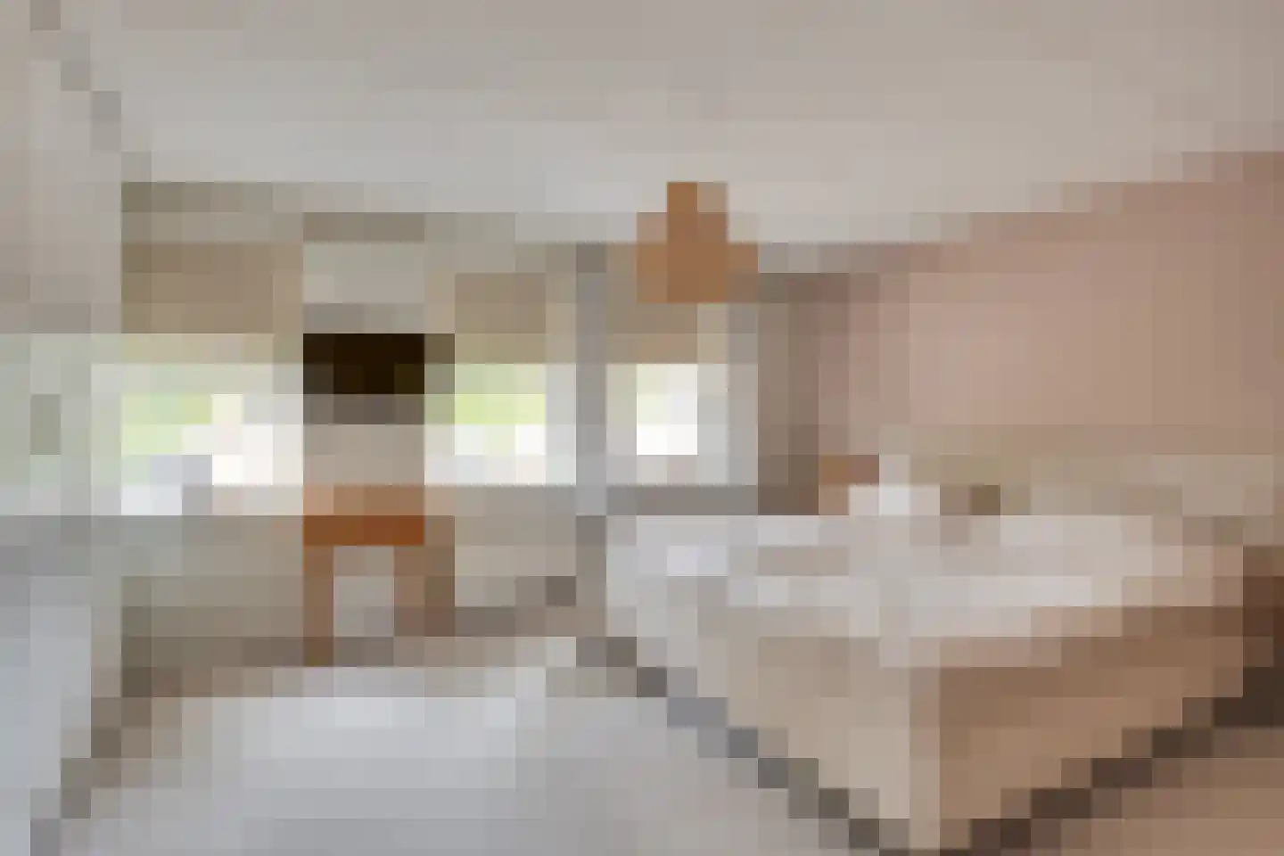 Pegbroekenlaan 18 Veldhoven thumbnail 4