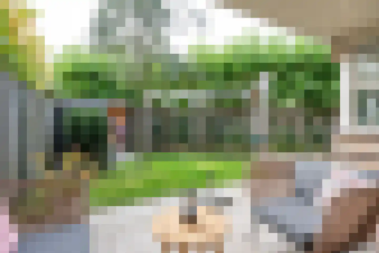 Pegbroekenlaan 18 Veldhoven thumbnail 42