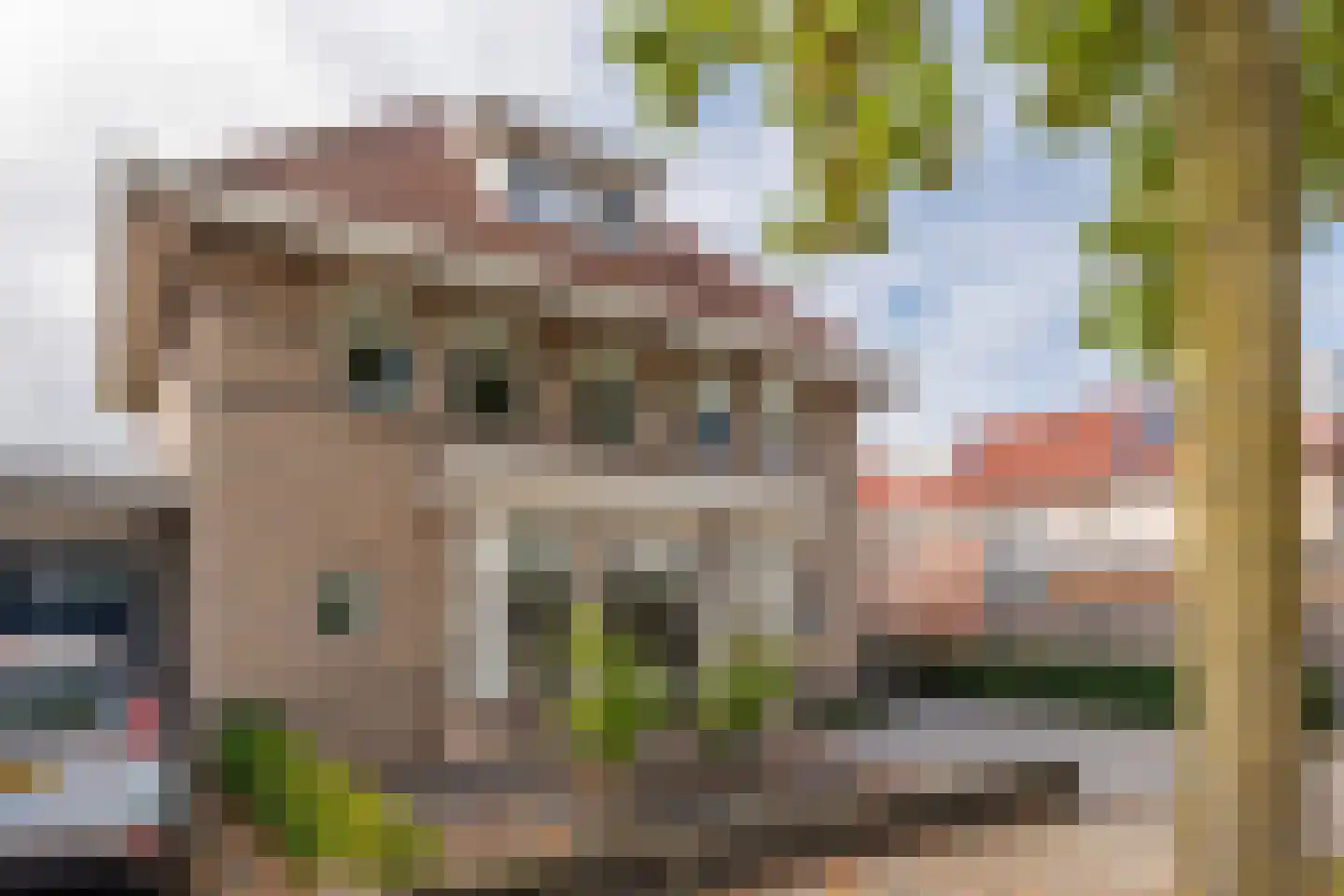 Pegbroekenlaan 18 Veldhoven thumbnail 45