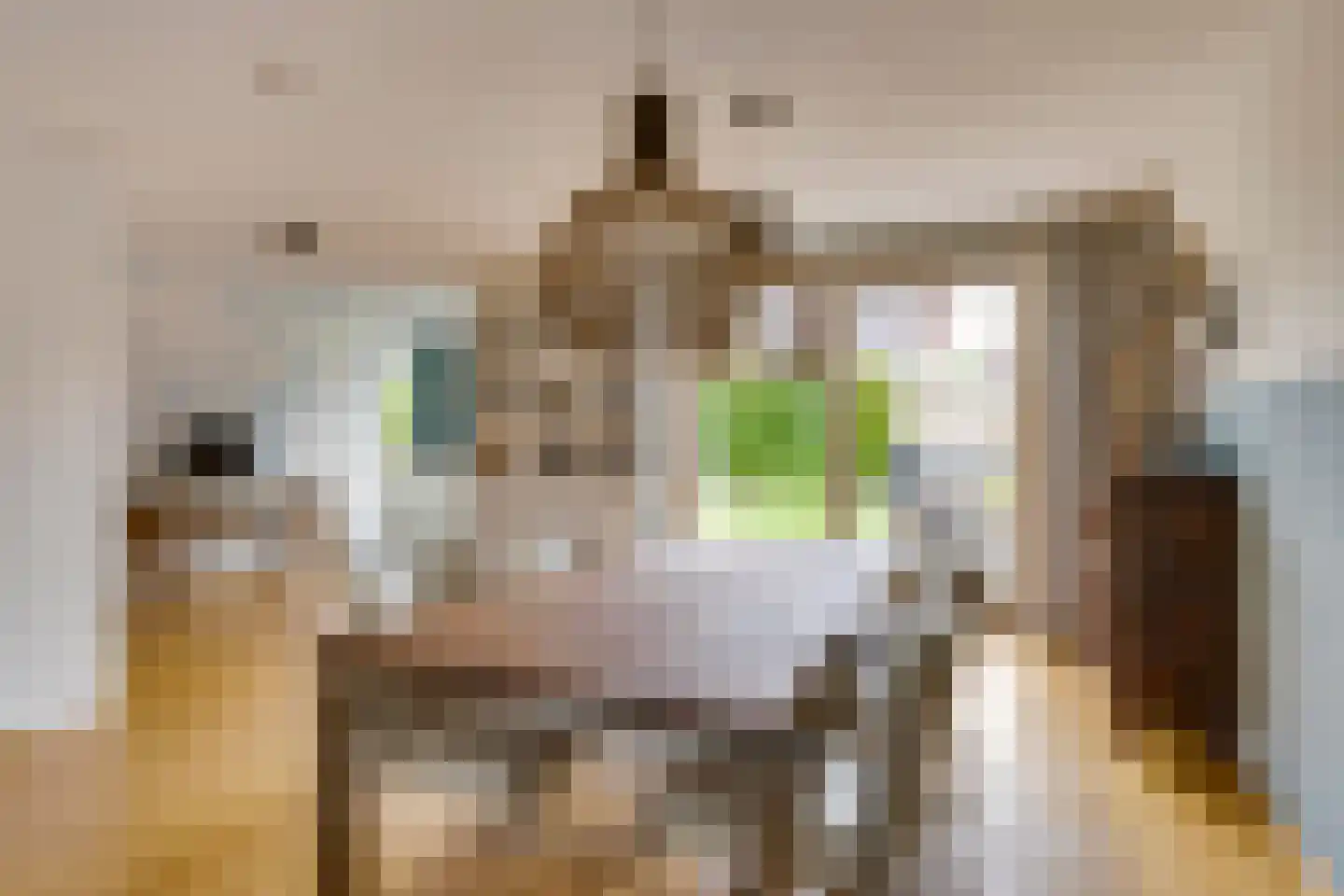Pegbroekenlaan 21 Veldhoven thumbnail 12