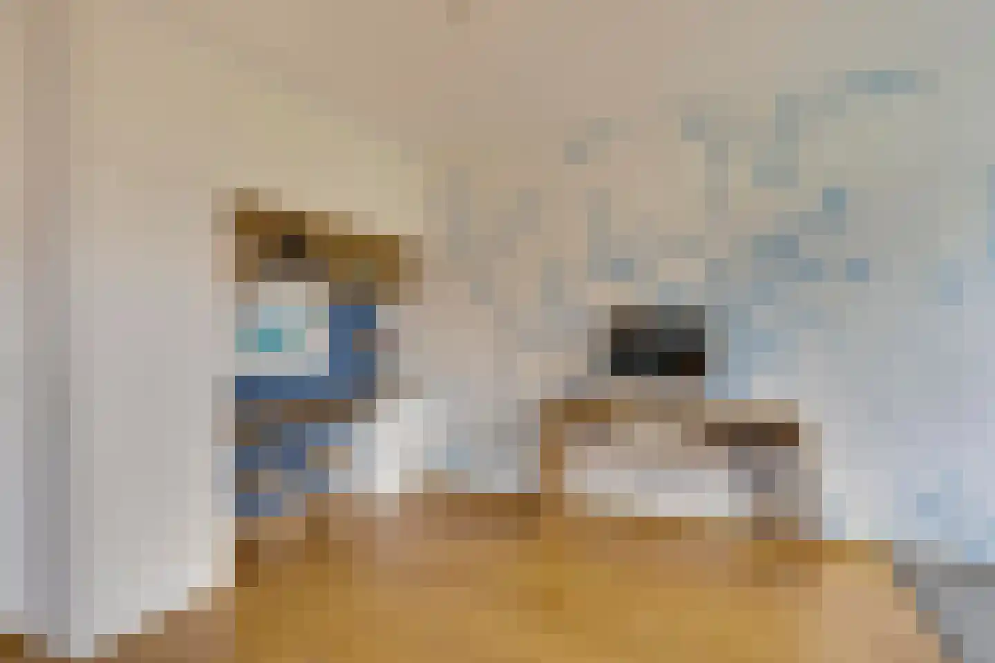 Pegbroekenlaan 21 Veldhoven thumbnail 16