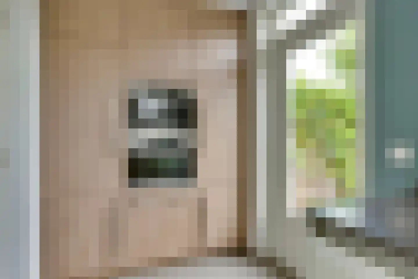 Pegbroekenlaan 21 Veldhoven thumbnail 19