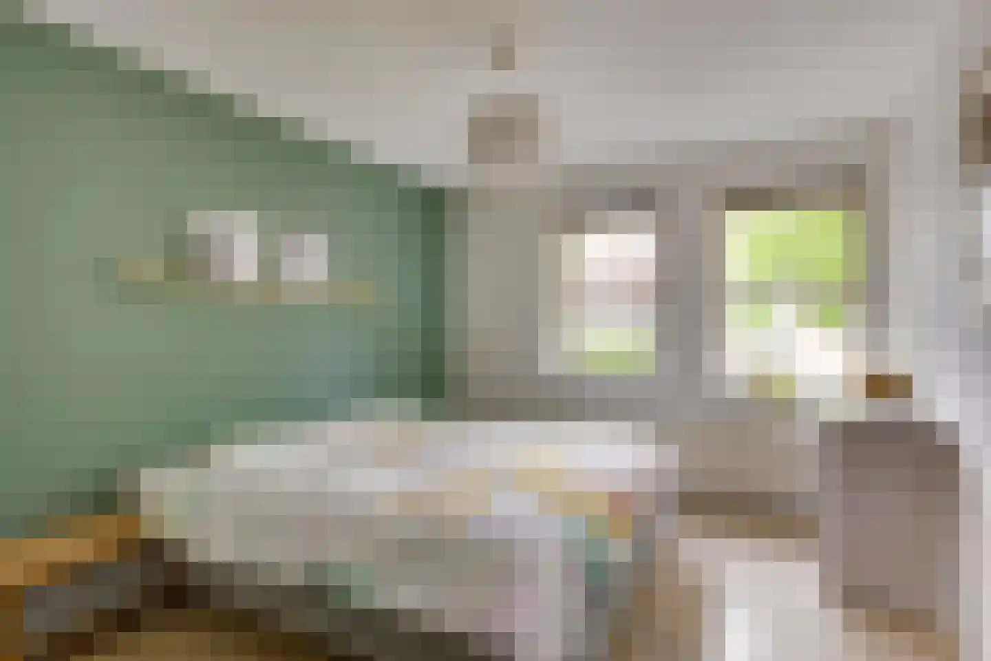 Pegbroekenlaan 21 Veldhoven thumbnail 21