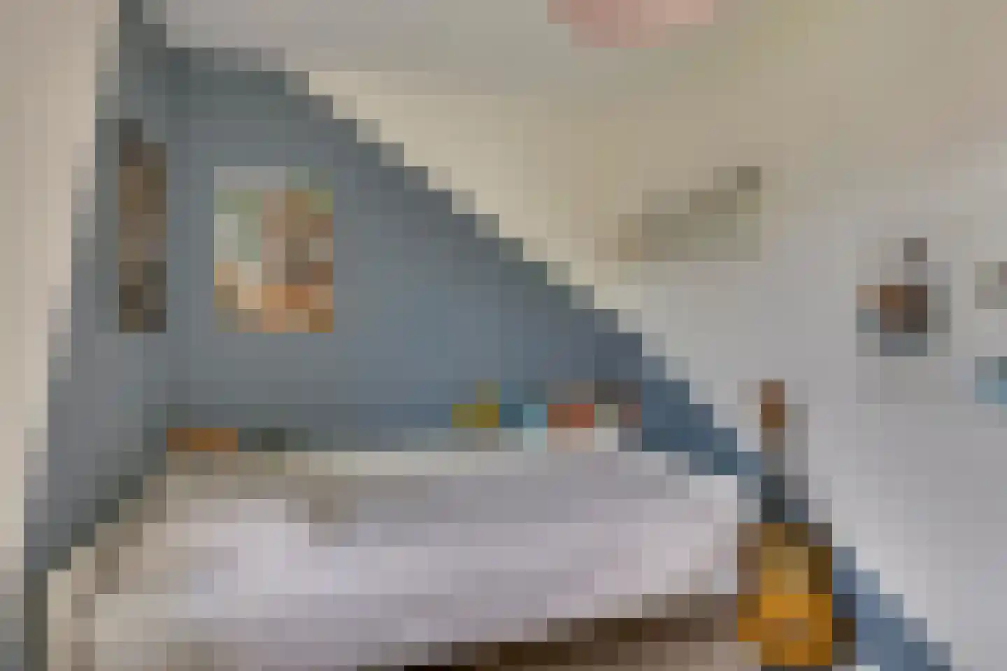 Pegbroekenlaan 21 Veldhoven thumbnail 25