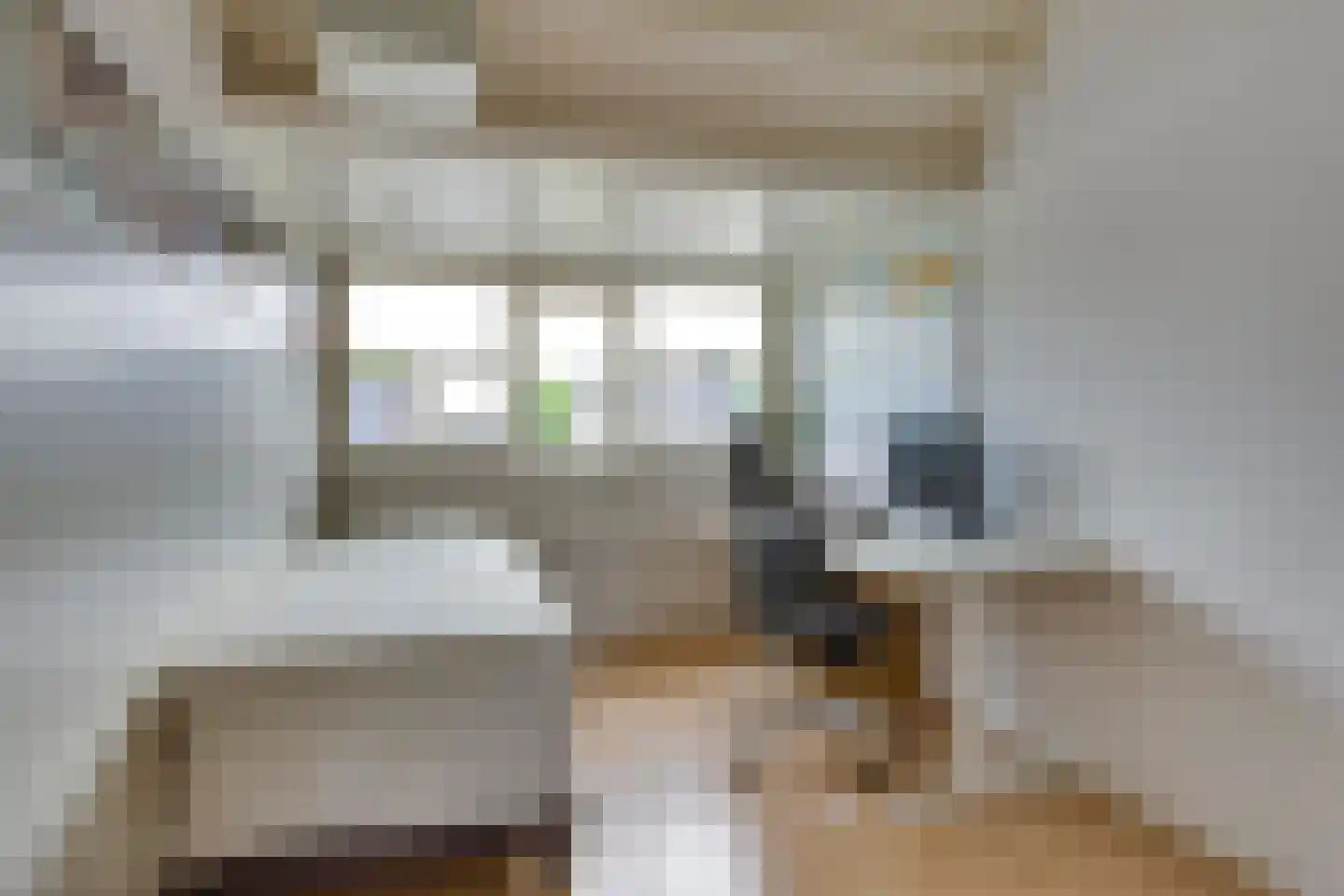 Pegbroekenlaan 21 Veldhoven thumbnail 34