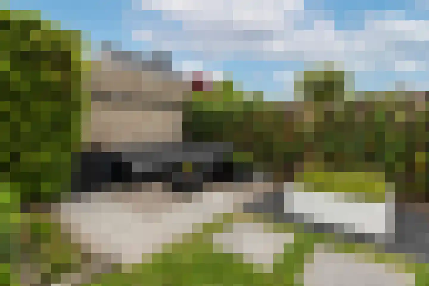 Pegbroekenlaan 21 Veldhoven thumbnail 40