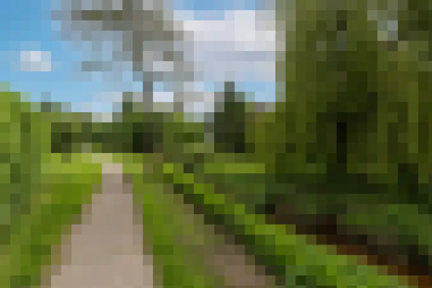 Pegbroekenlaan 21 Veldhoven thumbnail 49
