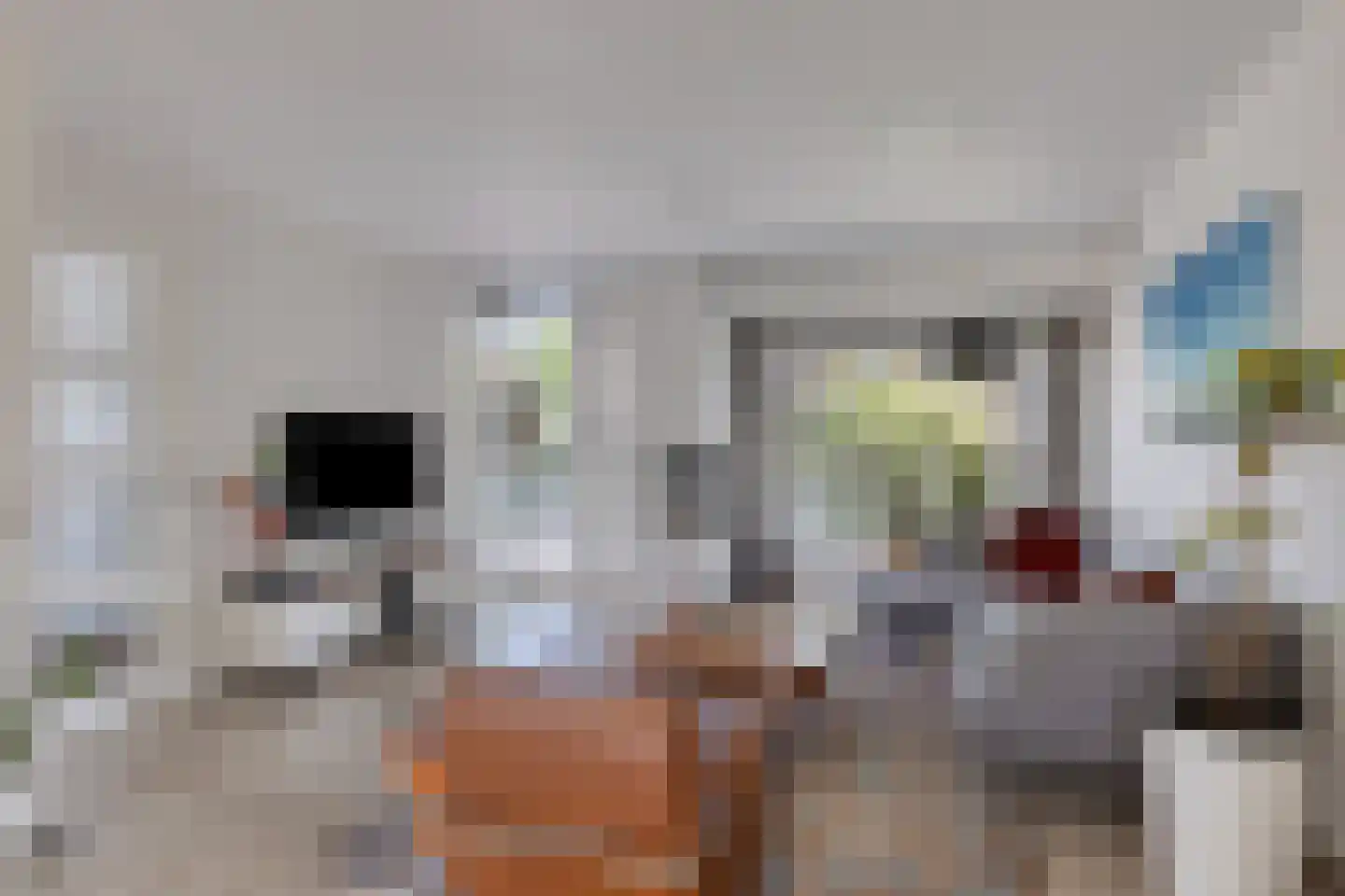 Pegbroekenlaan 60 Veldhoven thumbnail 11