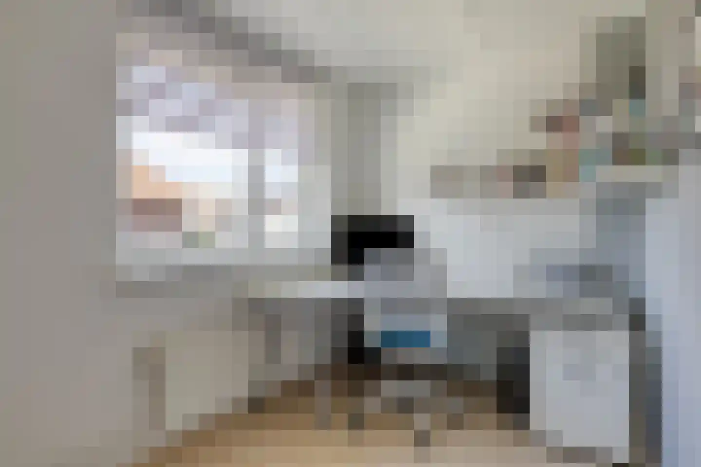 Pegbroekenlaan 60 Veldhoven thumbnail 25