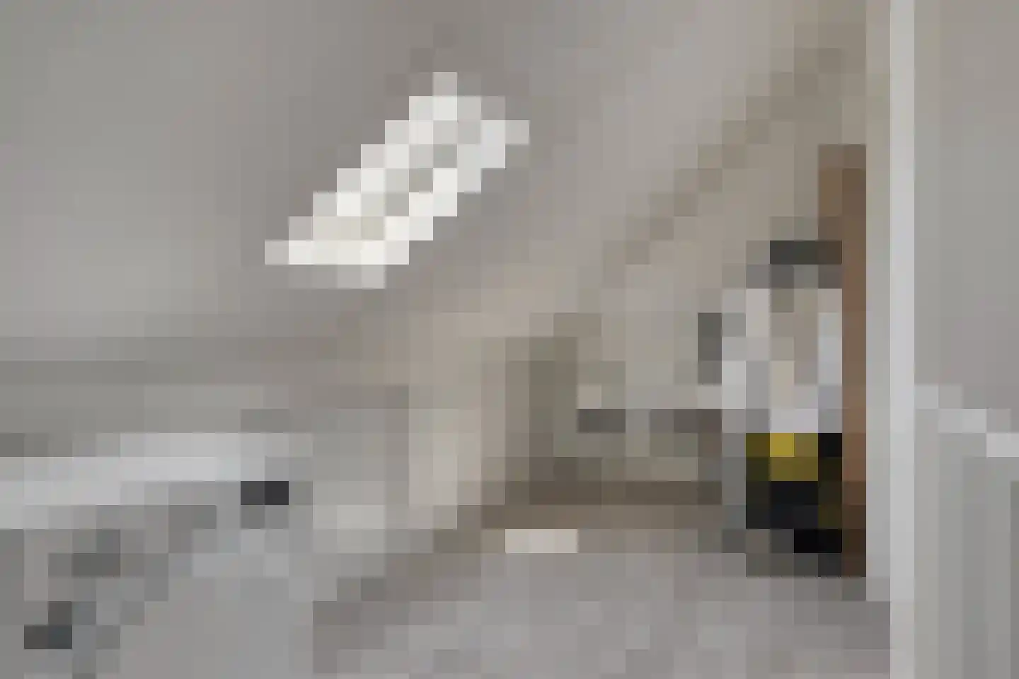 Pegbroekenlaan 60 Veldhoven thumbnail 34
