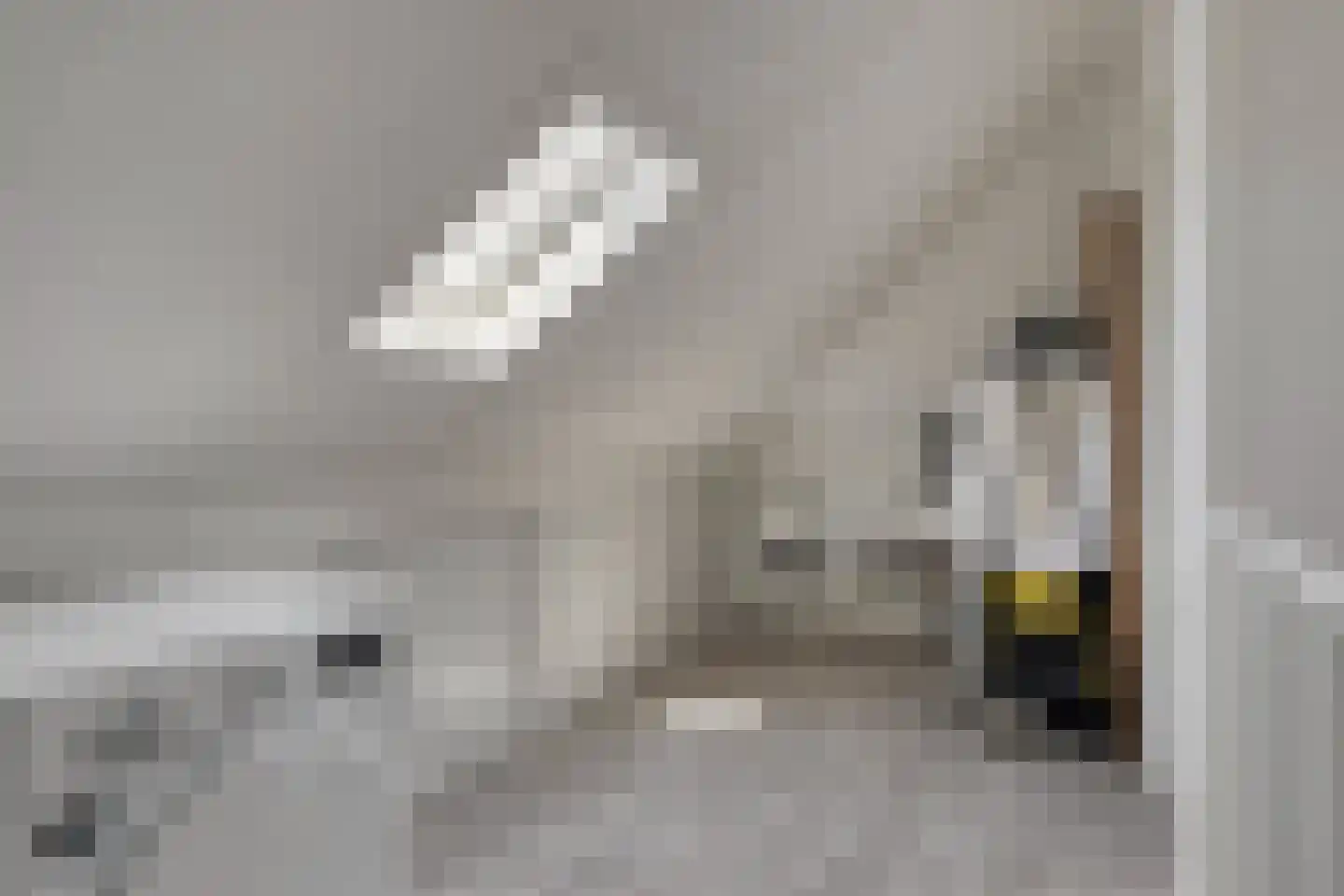 Pegbroekenlaan 60 Veldhoven thumbnail 34