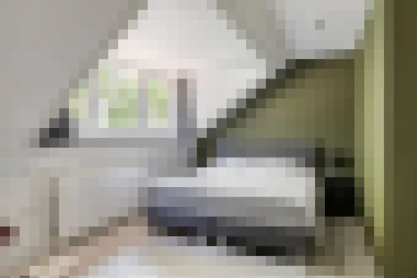 Pegbroekenlaan 60 Veldhoven thumbnail 35