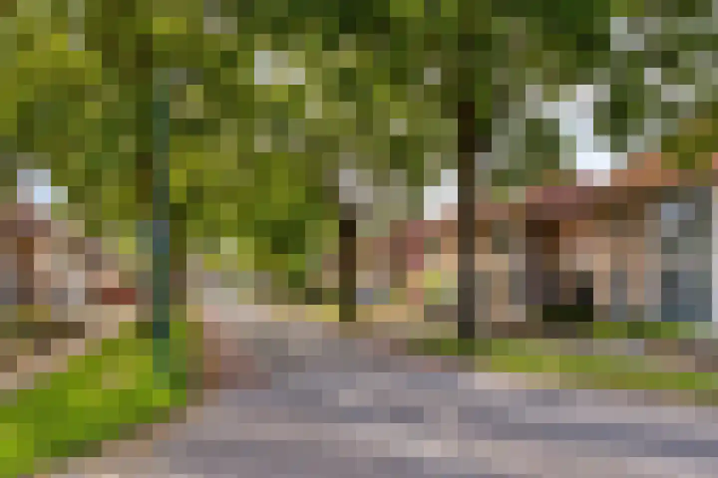 Pegbroekenlaan 60 Veldhoven thumbnail 42
