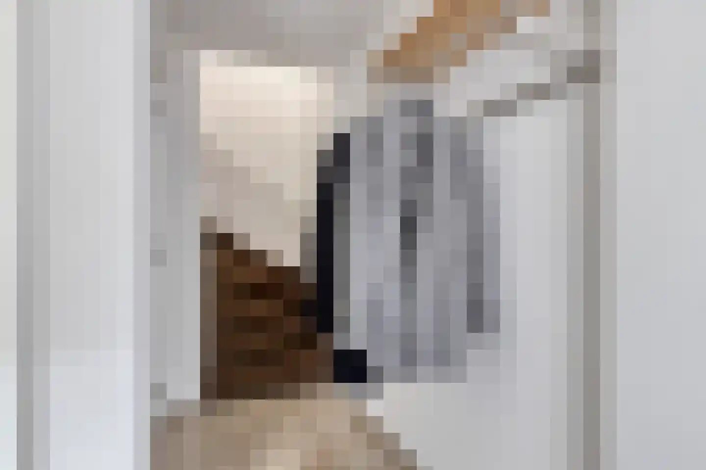 Pegbroekenlaan 60 Veldhoven thumbnail 8