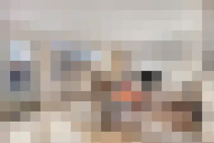 Peggekade 23 Zoetermeer thumbnail 10