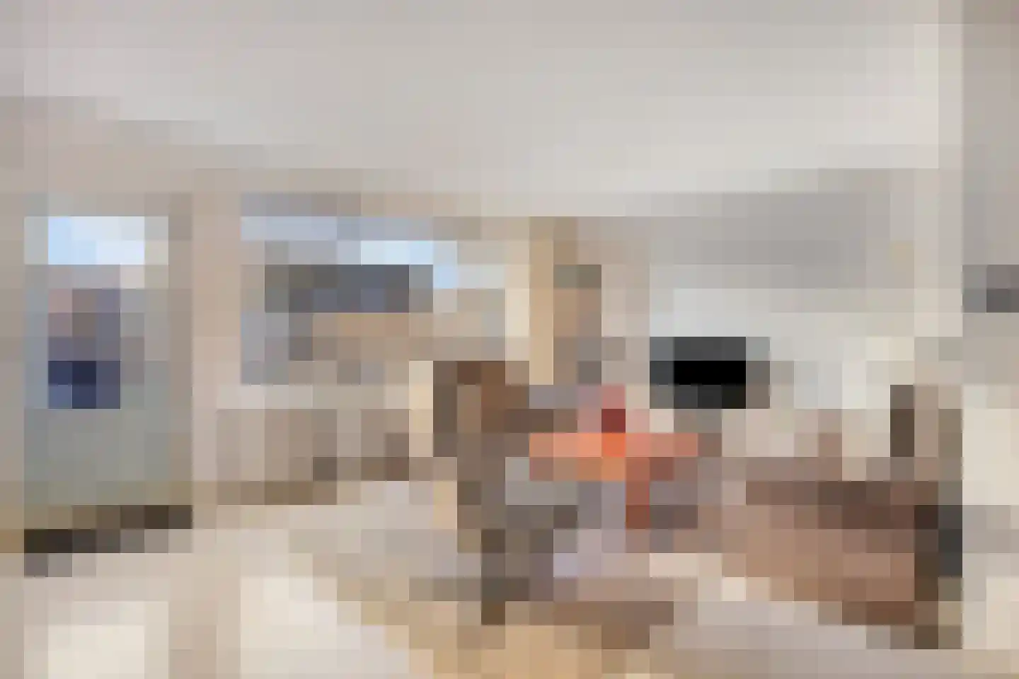 Peggekade 23 Zoetermeer thumbnail 11