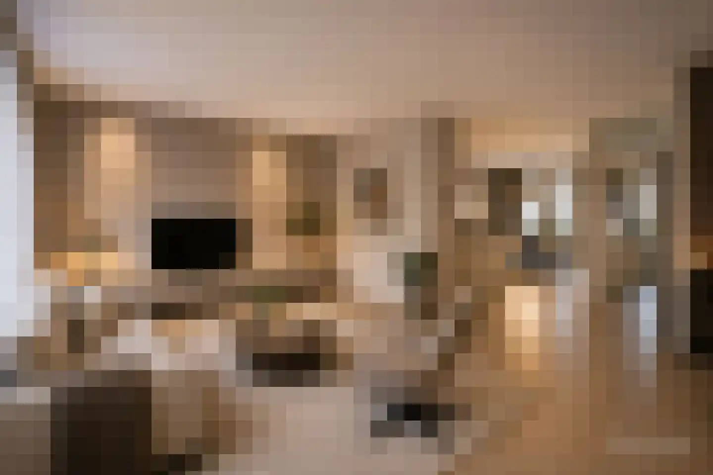 Peggekade 23 Zoetermeer thumbnail 13