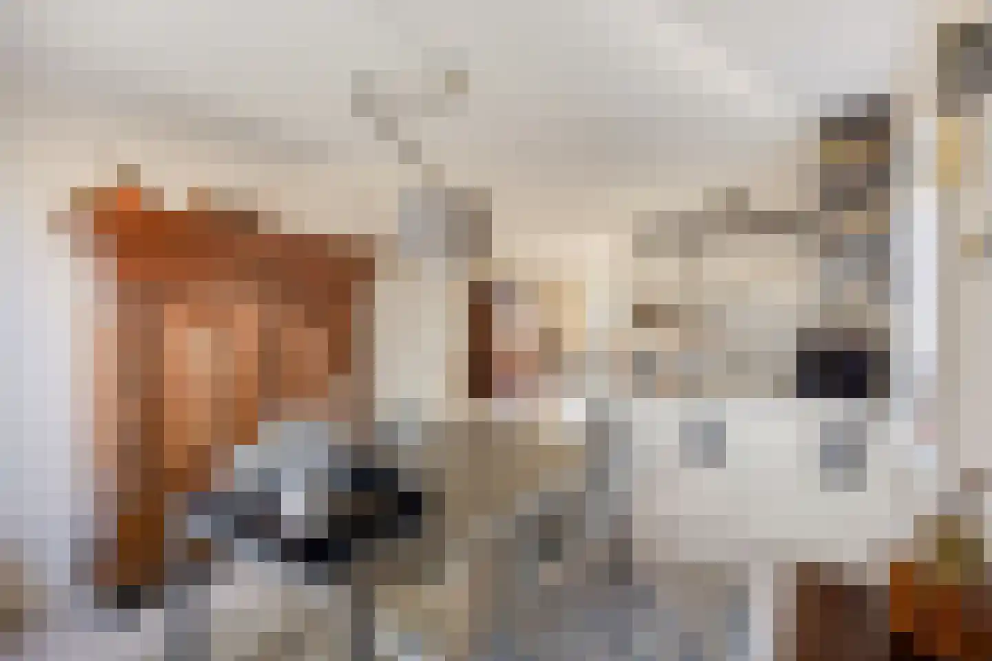 Peggekade 23 Zoetermeer thumbnail 15