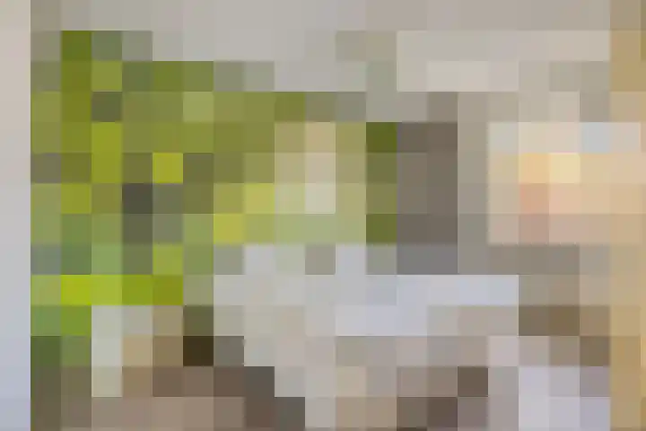 Peggekade 23 Zoetermeer thumbnail 15